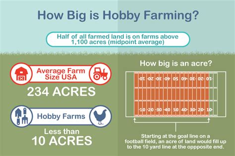 Hobby Farm Vs Business Farm